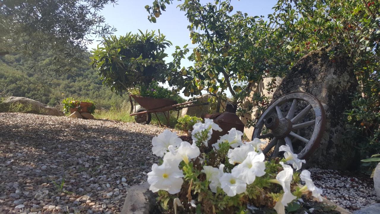 B&B Casa Vacanza Centro Sardegna Sorgono 외부 사진