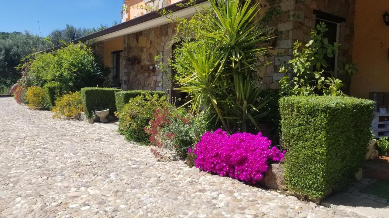 B&B Casa Vacanza Centro Sardegna Sorgono 외부 사진