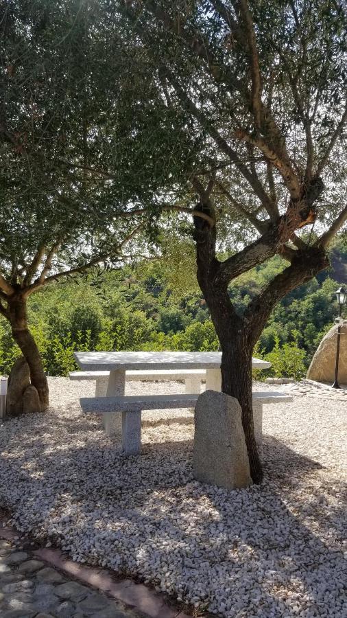 B&B Casa Vacanza Centro Sardegna Sorgono 외부 사진
