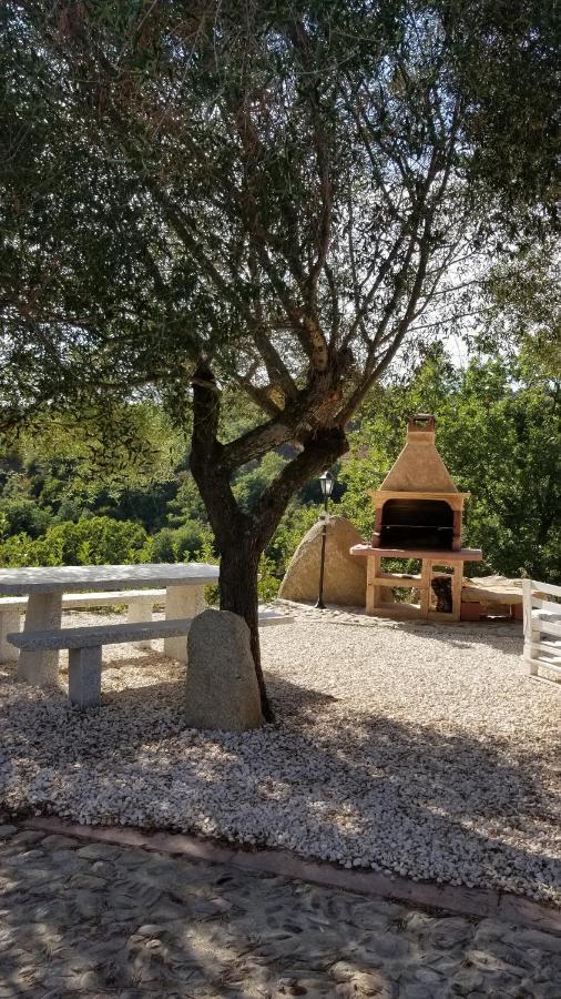 B&B Casa Vacanza Centro Sardegna Sorgono 외부 사진