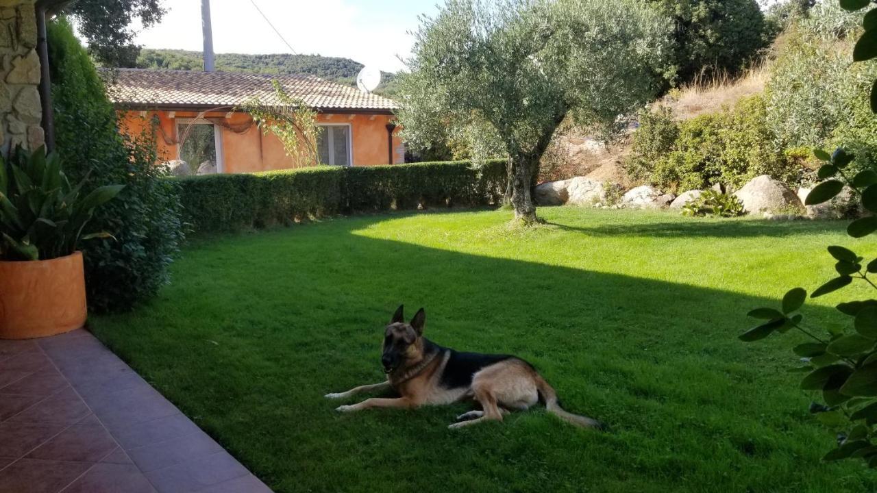 B&B Casa Vacanza Centro Sardegna Sorgono 외부 사진
